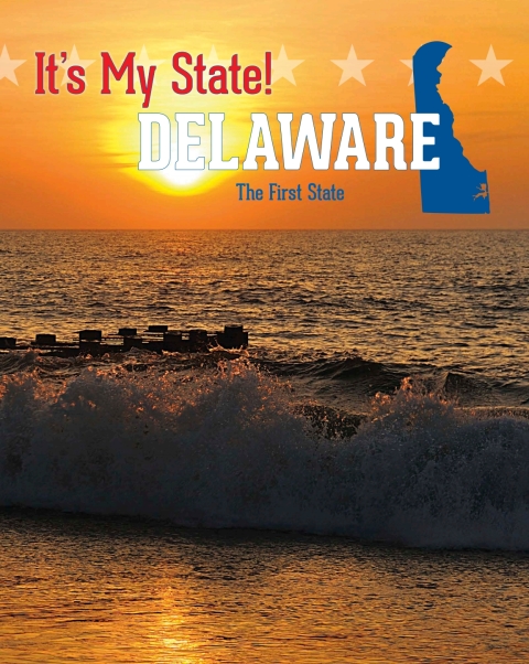 Cover image for book Delaware
