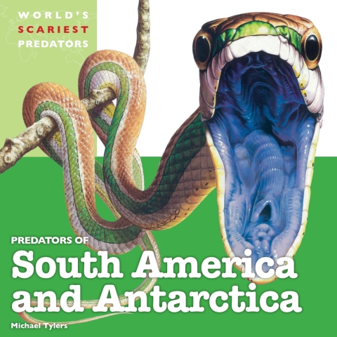 Cover image for book Predators of South America and Antarctica