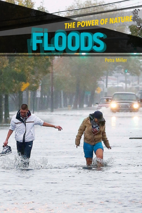 Cover image for book Floods