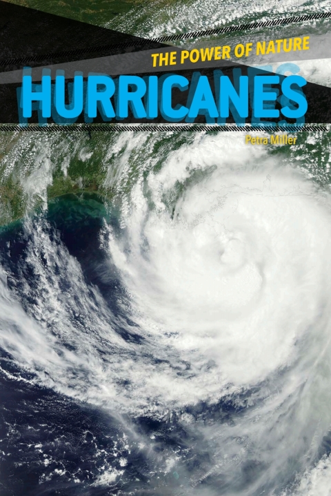 Cover image for book Hurricanes