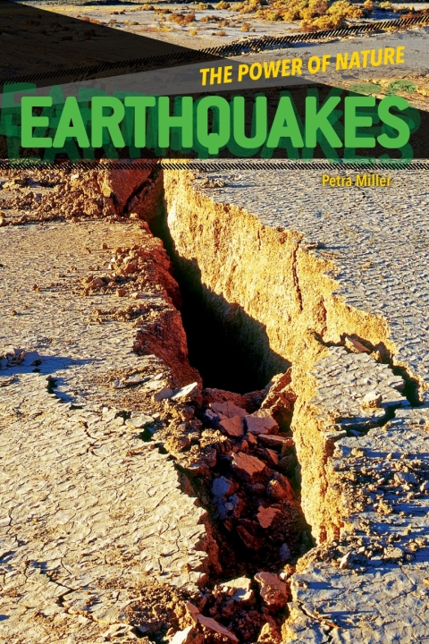 Cover image for book Earthquakes