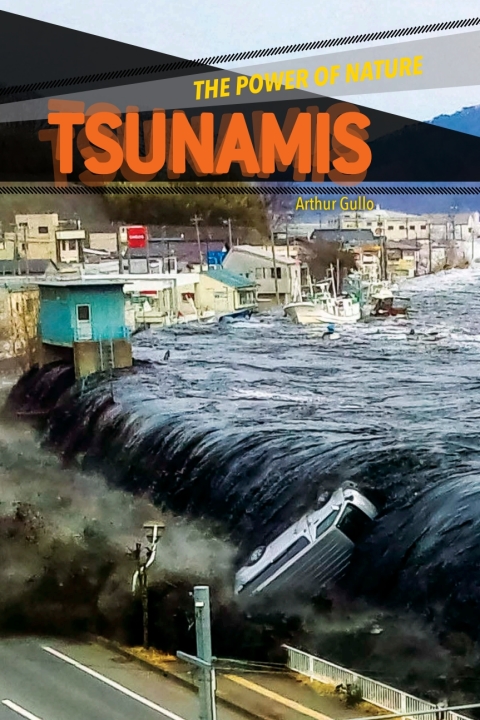 Cover image for book Tsunamis