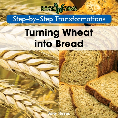Cover image for book Turning Wheat into Bread