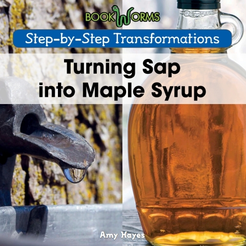 Cover image for book Turning Sap into Maple Syrup