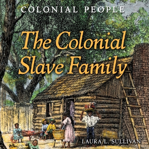 Cover image for book The Colonial Slave Family