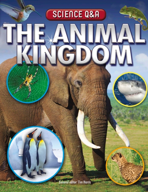 Cover image for book The Animal Kingdom