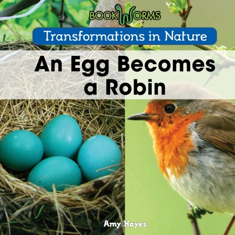 Cover image for book An Egg Becomes a Robin