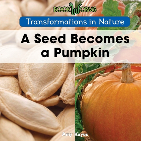 Cover image for book A Seed Becomes a Pumpkin
