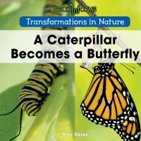 صورة الغلاف: A Caterpillar Becomes a Butterfly