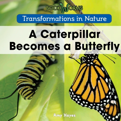 Cover image for book A Caterpillar Becomes a Butterfly