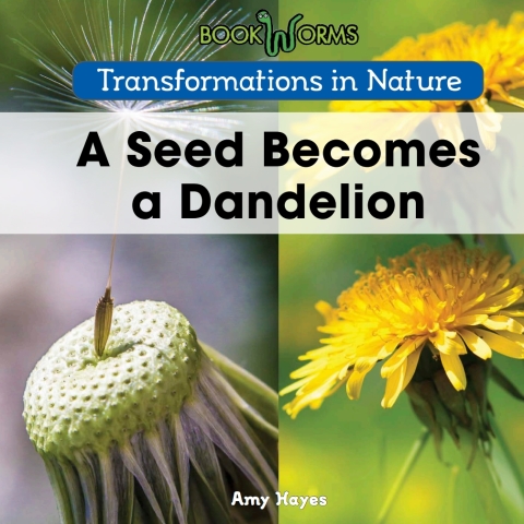 Cover image for book A Seed Becomes a Dandelion