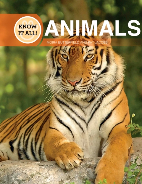 Cover image for book Animals