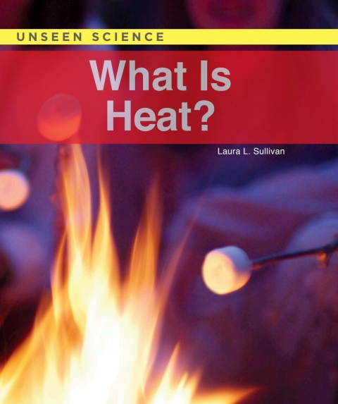 Cover image for book What Is Heat?