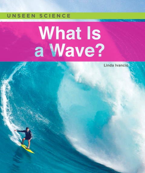 Cover image for book What Is a Wave?