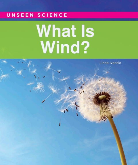 Cover image for book What Is Wind?