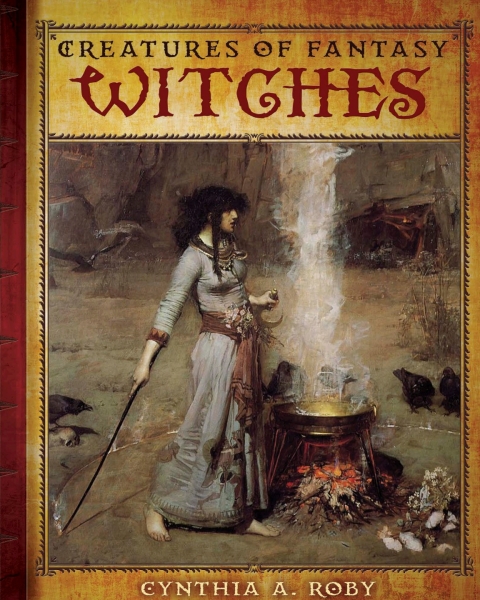 Cover image for book Witches
