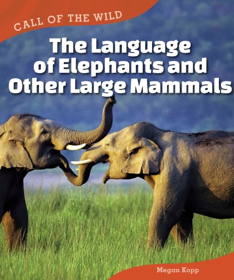 Cover image for book The Language of Elephants and Other Large Mammals