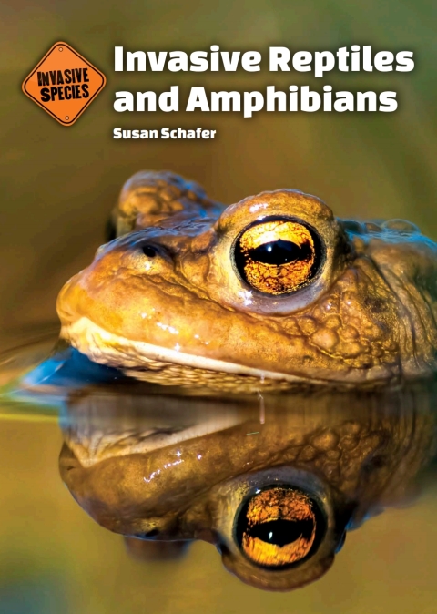 Cover image for book Invasive Reptiles and Amphibians