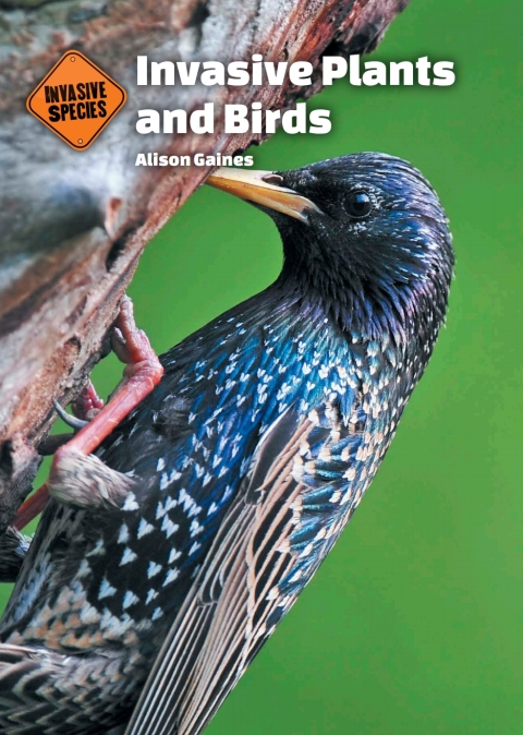Cover image for book Invasive Plants and Birds
