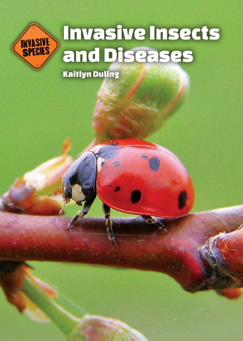 Cover image for book Invasive Insects and Diseases