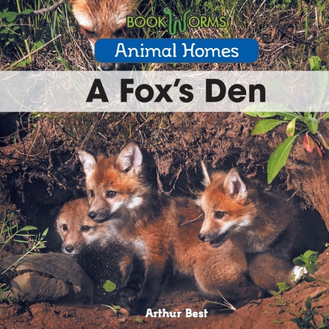 Cover image for book A Gorilla’s Nest