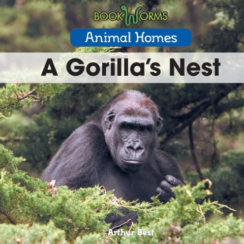 Cover image for book A Hermit Crab’s Shell