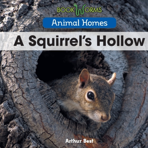 Cover image for book A Termite’s Colony