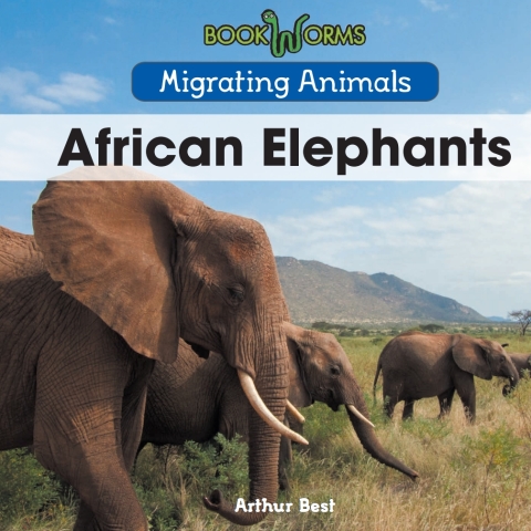 Cover image for book American Bison