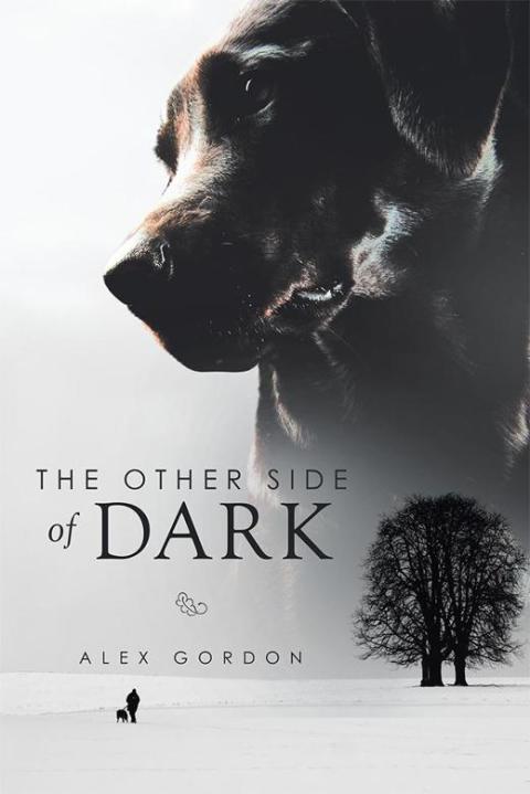 Cover image for book The Other Side of Dark