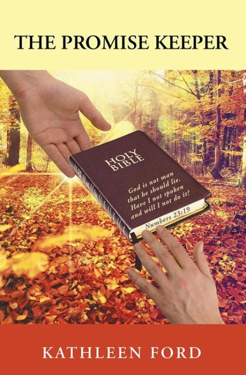 Cover image for book The Promise Keeper