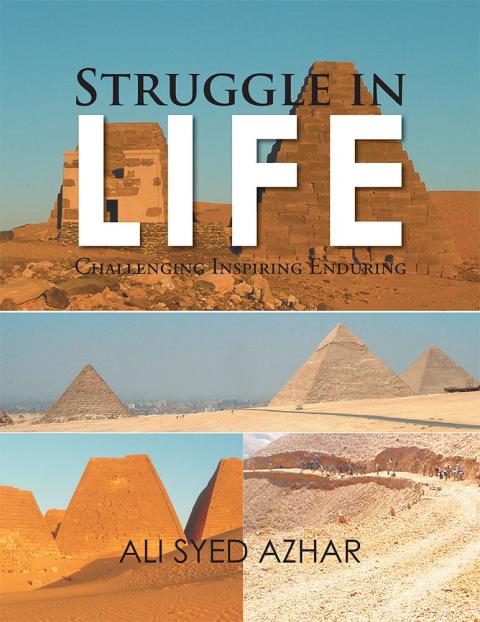 Cover image for book Struggle in Life