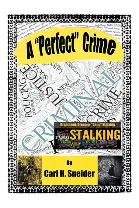 Cover image for book A "Perfect" Crime