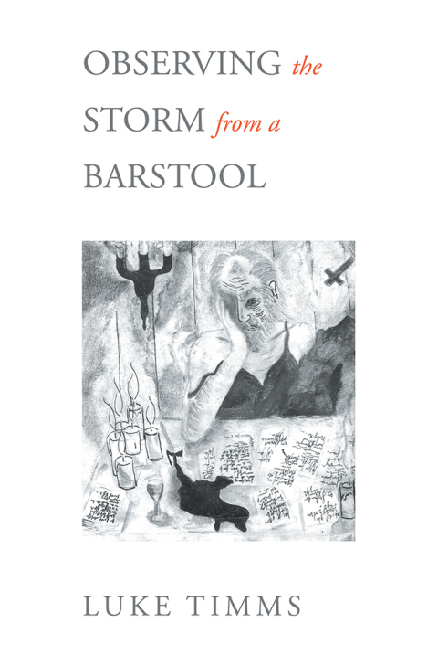 Cover image for book Observing the Storm from a Barstool
