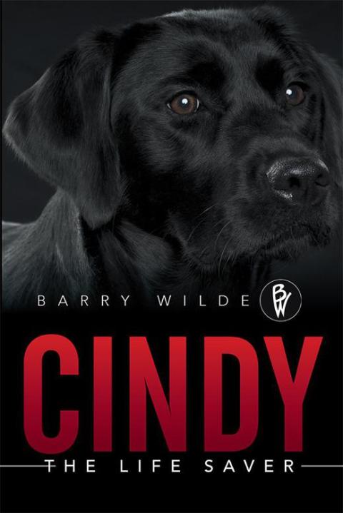 Cover image for book Cindy