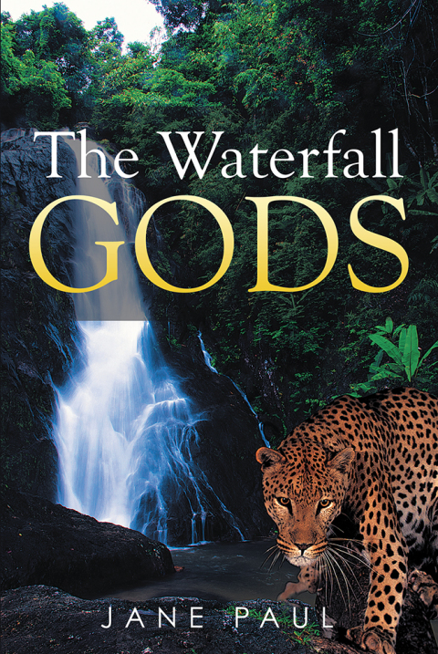 Cover image for book The Waterfall Gods