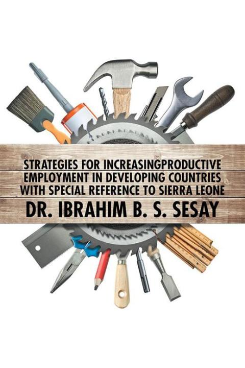 Cover image for book Strategies for Increasing Productive Employment in Developing Countries with Special Reference to Sierra Leone