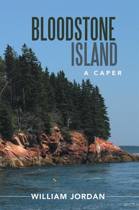 Cover image for book Bloodstone Island