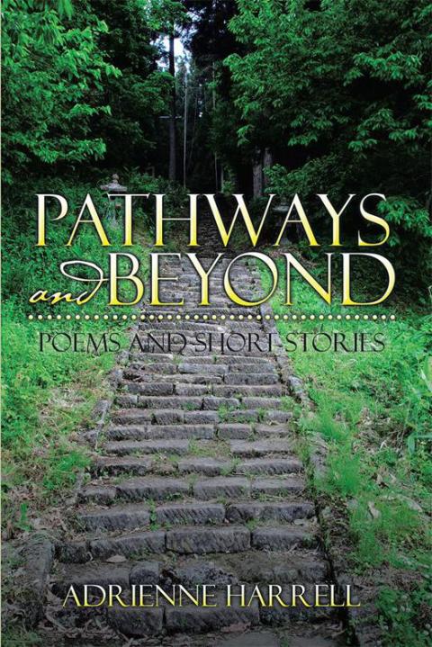 Cover image for book Pathways and Beyond