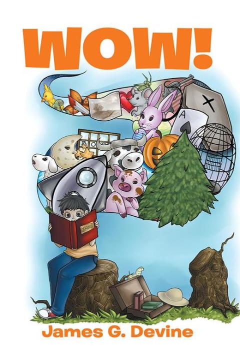 Cover image for book Wow!