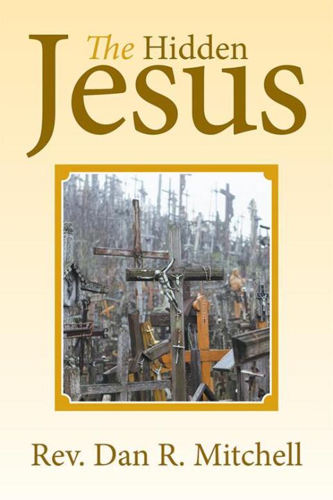 Cover image for book The Hidden Jesus