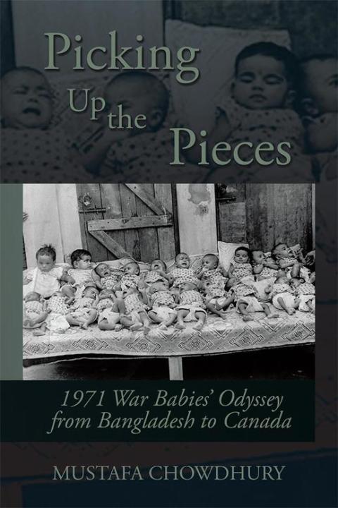 Cover image for book Picking up the Pieces