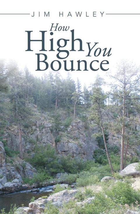 Cover image for book How High You Bounce