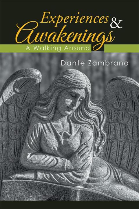 Cover image for book Experiences & Awakenings