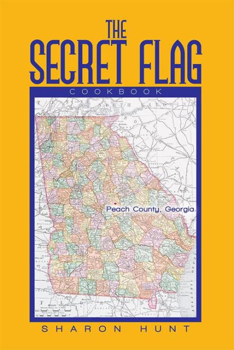 Cover image for book The Secret Flag