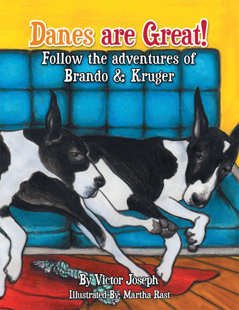 Cover image for book The Sleepover & It's Snowing