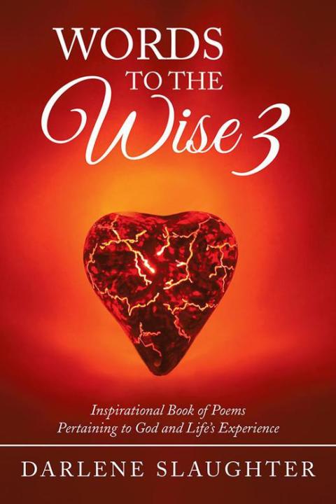 Cover image for book Words to the Wise 3