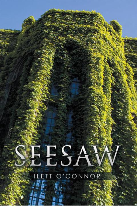 Cover image for book Seesaw