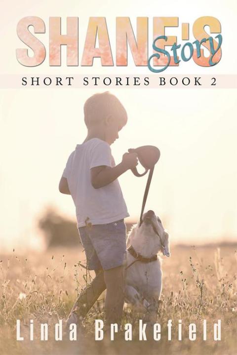 Cover image for book Shane's Story