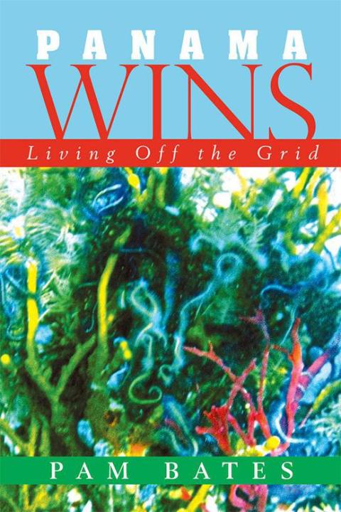 Cover image for book Panama Wins
