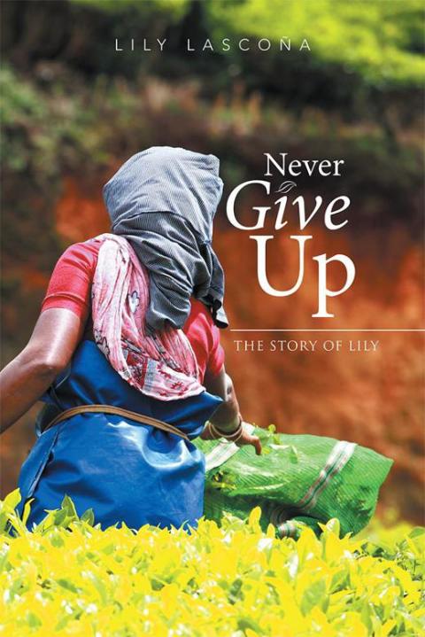 Cover image for book Never Give Up